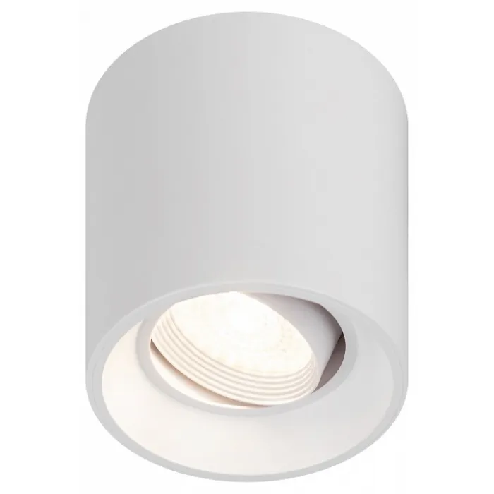 Накладной светильник Эра OL25-1 WH Б0054383 от ImperiumLoft