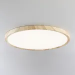 Накладной светильник Citilux Бейсик CL738322V