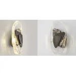 Бра Transparent Pebbles Sconces