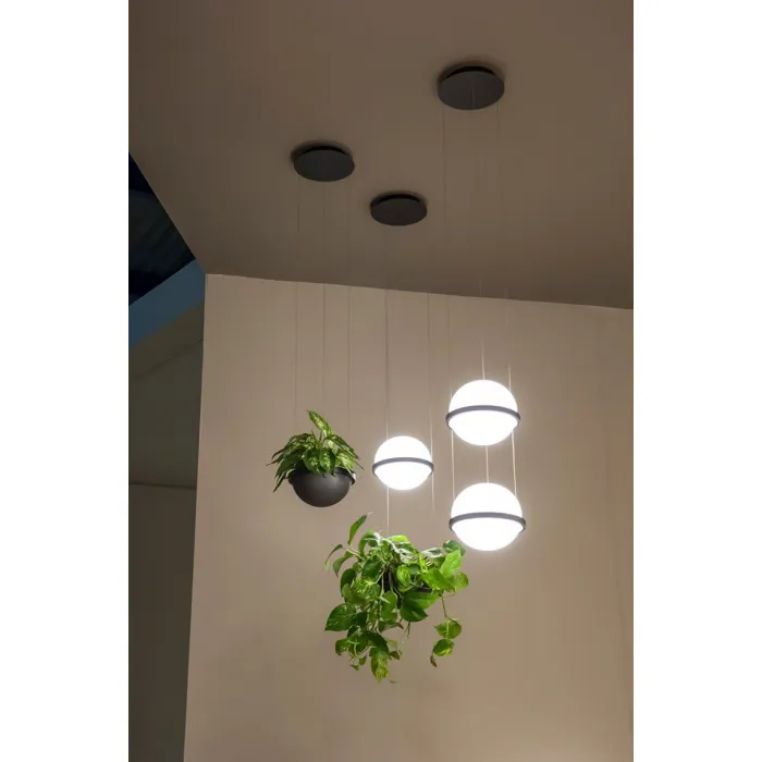 Подвесной светильник PALMA lamp Шар от ImperiumLoft