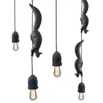 Светильник Белка karman Sherwood e robin SE151 BB INT-black от ImperiumLoft
