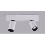 Спот Conecticus 2