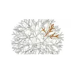 Настольная лампа Pallucco Coral от ImperiumLoft