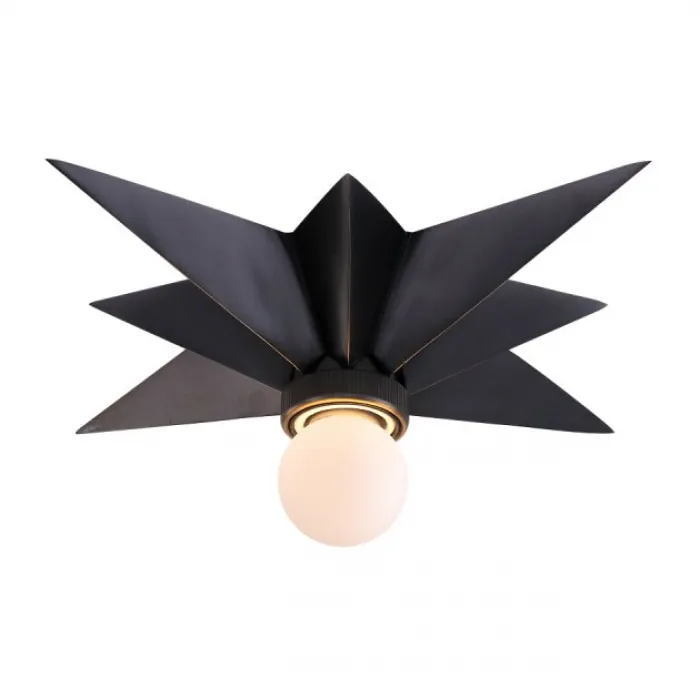 Потолочный светильник Star Ceiling Mount  black от ImperiumLoft