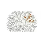 Настольная лампа Pallucco Coral от ImperiumLoft