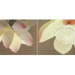 Подвесной светильник Lotus Flower Pendant от ImperiumLoft