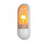 Настенный уличный светильник Lucide CAPSULE 29897/01/31