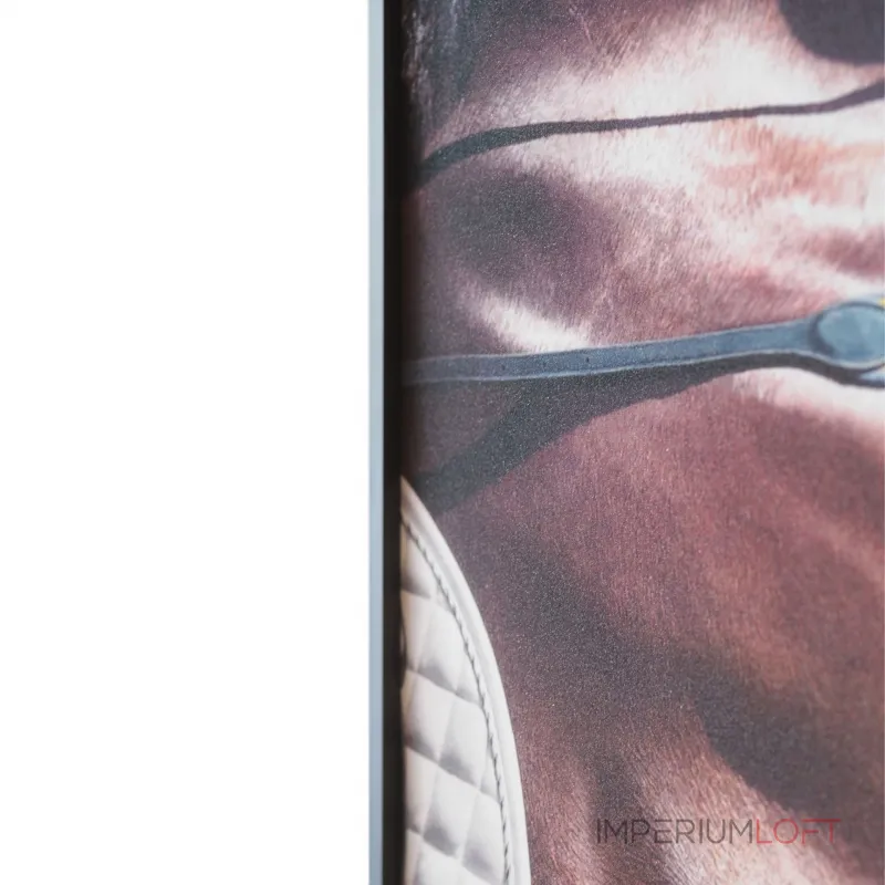 Декоративная картина FP Horse Lumina Deco 80-120 от ImperiumLoft Декоративная картина FP Horse Lumina Deco 80-120 от ImperiumLoft