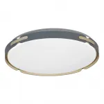Потолочный светильник Lumina Deco Paneli LDC 8063-48W BL от ImperiumLoft