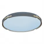 Потолочный светильник Lumina Deco Paneli LDC 8063-48W BL от ImperiumLoft