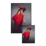 Декоративная картина FP Red Hat Lumina Deco 80-120 от ImperiumLoft
