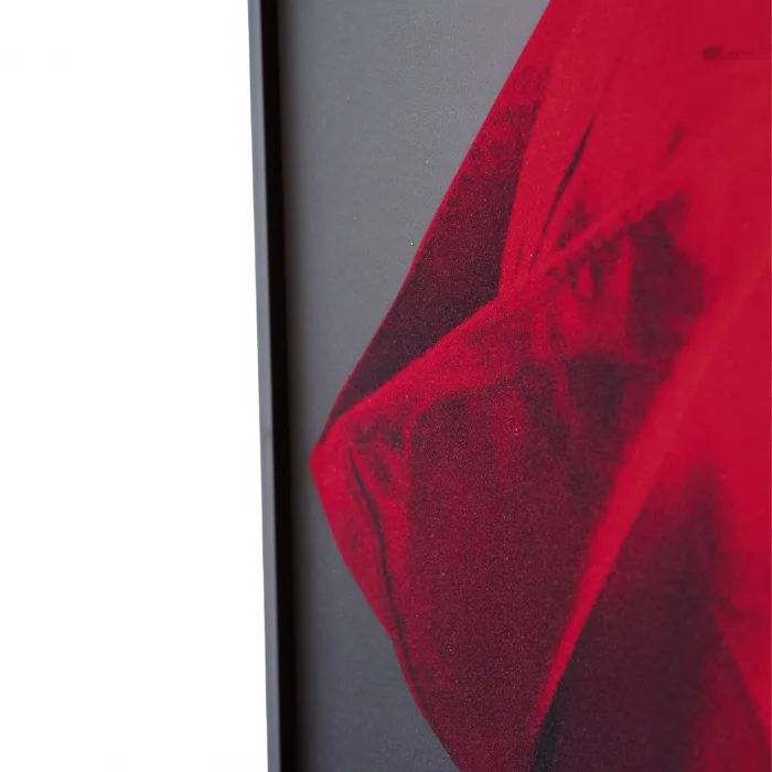 Декоративная картина FP Red Hat Lumina Deco 80-120 от ImperiumLoft