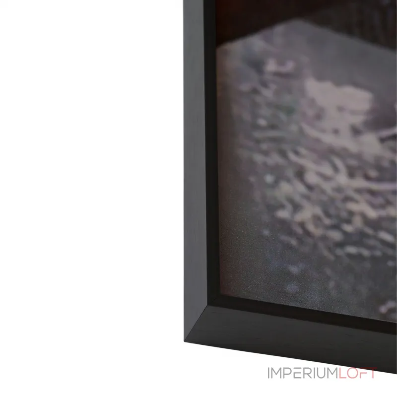 Декоративная картина FP Abstract Lumina Deco 50-70