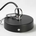 Подвесной светильник Lussole LOFT LSP-8029