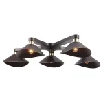 Потолочная люстра Lussole LOFT LSP-9535