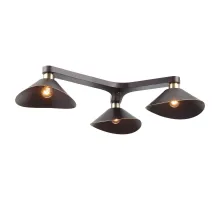 Потолочная люстра Lussole LOFT LSP-9534