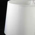 Настольная лампа декоративная Lussole Milton LSP-0521