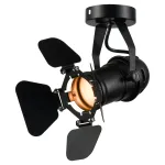 Спот Lussole Expression LSP-9838 от ImperiumLoft