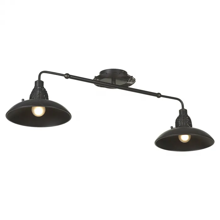Светильник на штанге Lussole Ancona LSN-1077-02 от ImperiumLoft