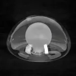 Люстра потолочная Lussole LSP-8822 от ImperiumLoft