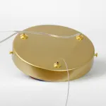 Подвесная люстра Lussole LSP-7216