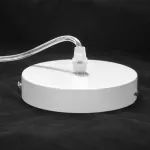 Подвесная люстра Lussole LSP-8268-CL