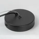 Подвесная люстра Lussole LSP-8924