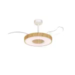 Потолочная люстра-вентилятор Mantra COIN FAN SMART 9500