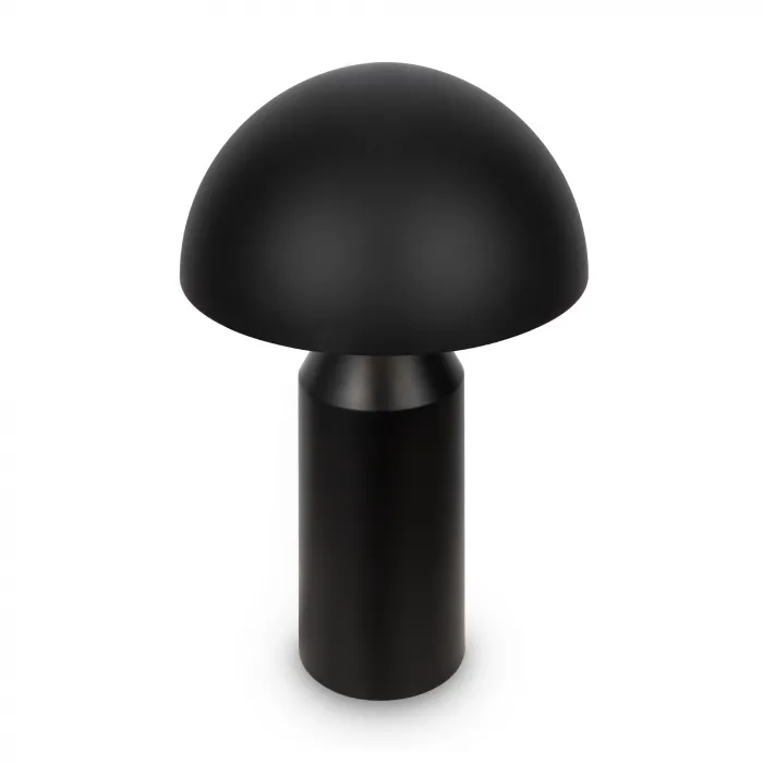 Настольный светильник Eleon FR5218TL-02B1 от ImperiumLoft