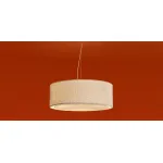Подвесной светильник Freya Basic FR5581PL-03W
