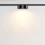 Трековый светильник Maytoni LEVITY TR189-1-12W2.7K-B