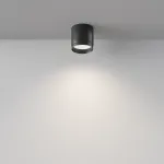 Потолочный светильник Maytoni Ceiling C088CL-GX53-B