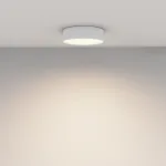 Потолочный светильник Maytoni Ceiling C032CL-24W3K-RD-W