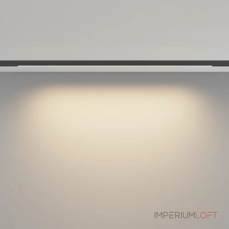 Трековый светильник Maytoni LEVITY TR190-1-10W3K-B
