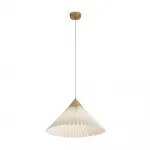 Подвесной светильник Freya Modern FR5533PL-01BS1