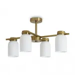Потолочная люстра Freya Modern FR5446PL-04BS1