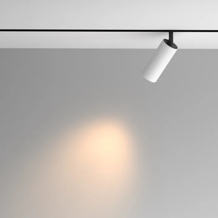 Трековый светильник Maytoni EXILITY TR097-2-12W3K-M-BW от ImperiumLoft