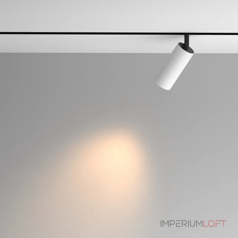 Трековый светильник Maytoni EXILITY TR097-2-12W3K-M-BW
