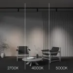 Трековый светильник Maytoni TRINITY TR197-3-12WCCT-M-B