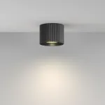 Потолочный светильник Maytoni Ceiling Calipso C106CL-GX53-B