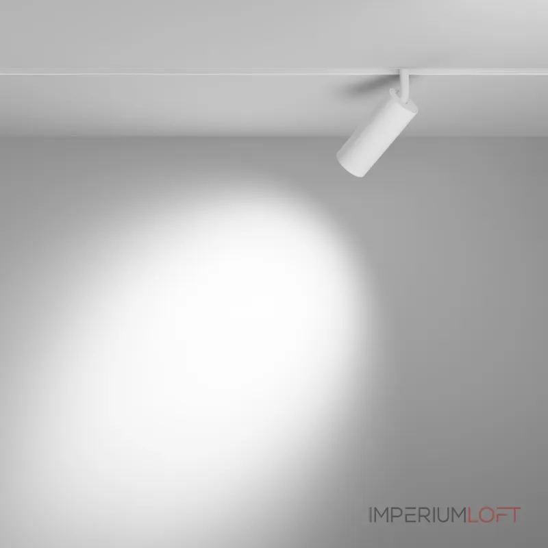 Трековый светильник Focus LED TR032-4-12W3K-S-DS-W