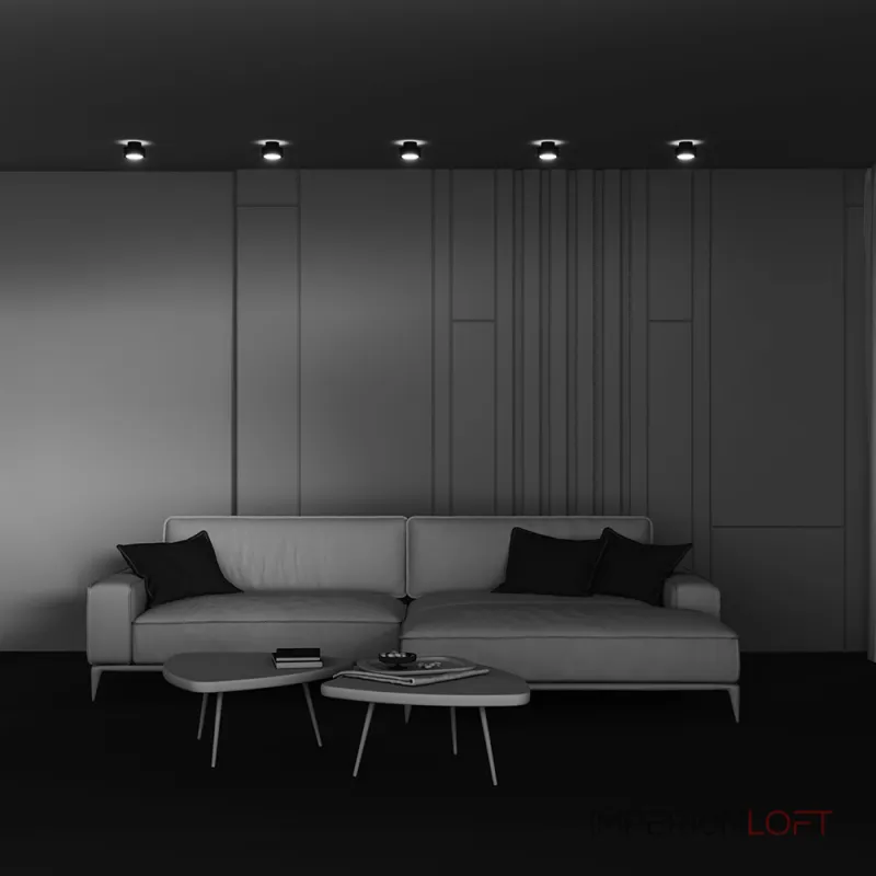 Потолочный светильник Maytoni Ceiling C092CL-GX53-B