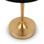 Настольный светильник Rosemary FR5190TL-01BS от ImperiumLoft