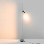 Напольный светильник (торшер) Maytoni Thin MOD395FL-L28B3K от ImperiumLoft