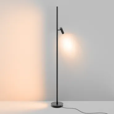 Напольный светильник (торшер) Maytoni Thin MOD395FL-L28B3K от ImperiumLoft