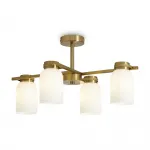 Потолочная люстра Freya Modern FR5446PL-04BS1