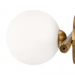 Настенный светильник (бра) Blossom FR5259WL-01BS