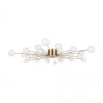 Потолочный светильник Celebrity FR5242CL-24BS1