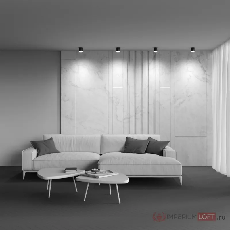 Потолочный светильник Maytoni Ceiling C088CL-GX53-B от ImperiumLoft
