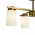 Потолочная люстра Freya Modern FR5446PL-04BS1